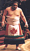 Chiyotaikai's Canada kesho-mawashi